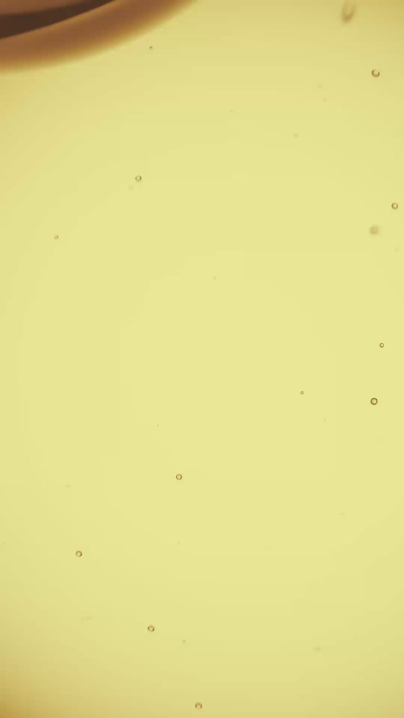 Video provided by Shopify App SwipeUp